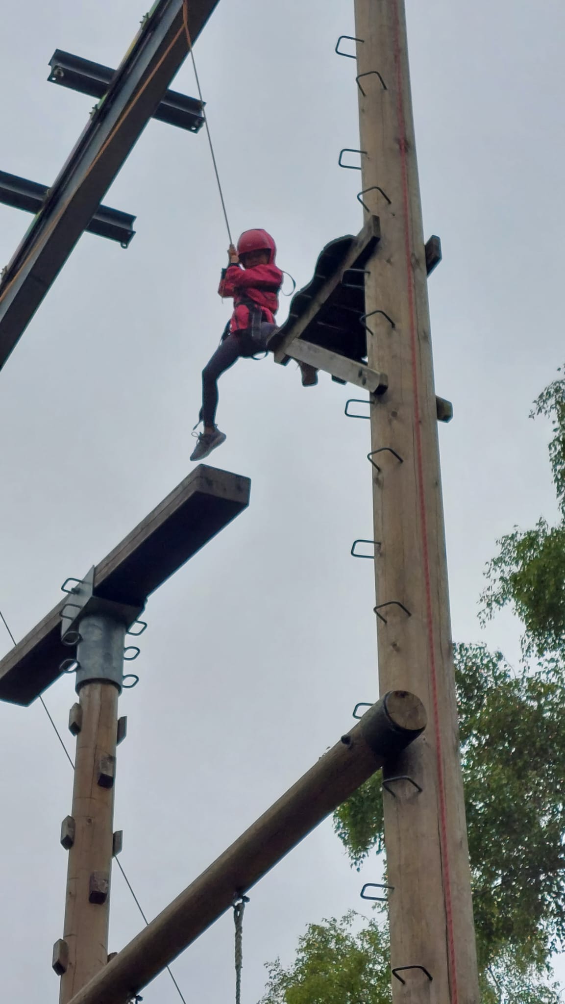 Hindleap Forest Adventure 2023